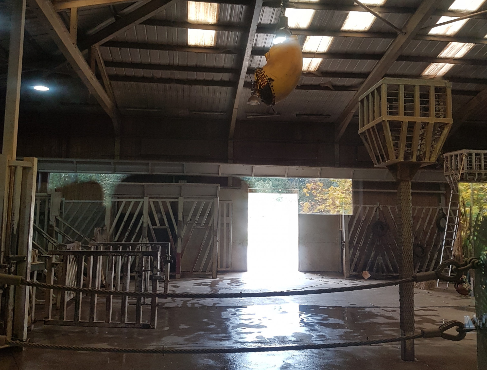 Elephant enclosure